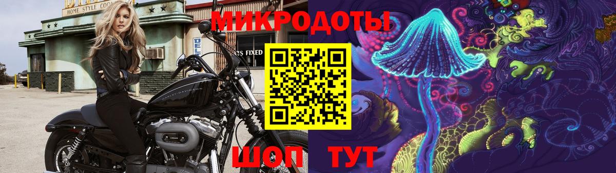 Псилоцибиновые грибы ЛСД Чехов